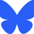 bluesky-social-seeklogo